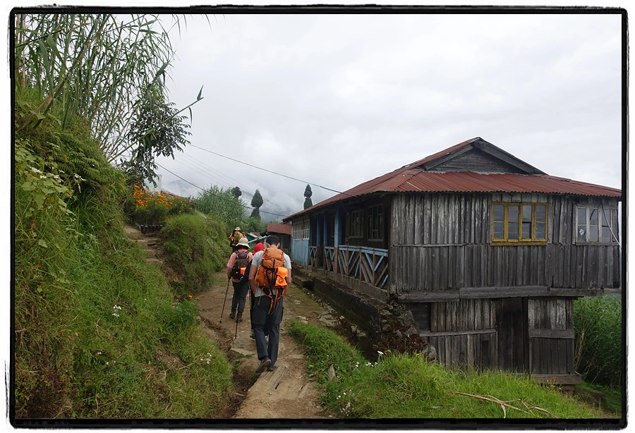 DSC00595.jpg?type=w966