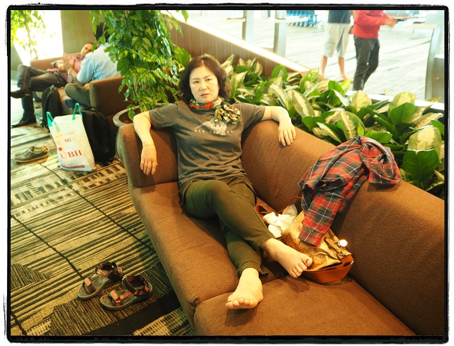 53.jpg?type=w966&jopt=2