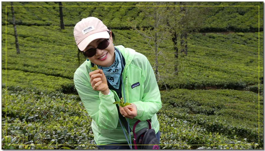 P1011631.jpg?type=w966