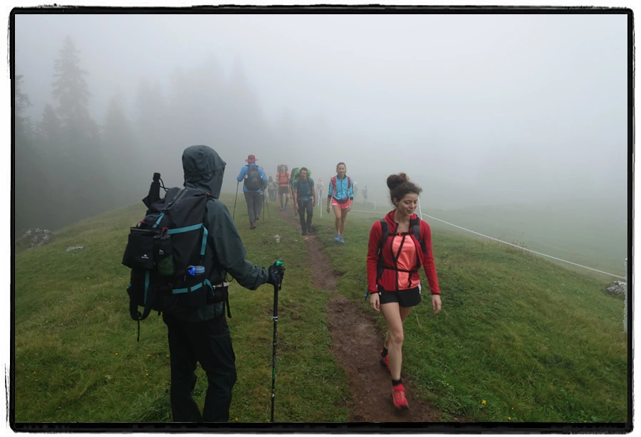 DSC00132.jpg?type=w966&jopt=2