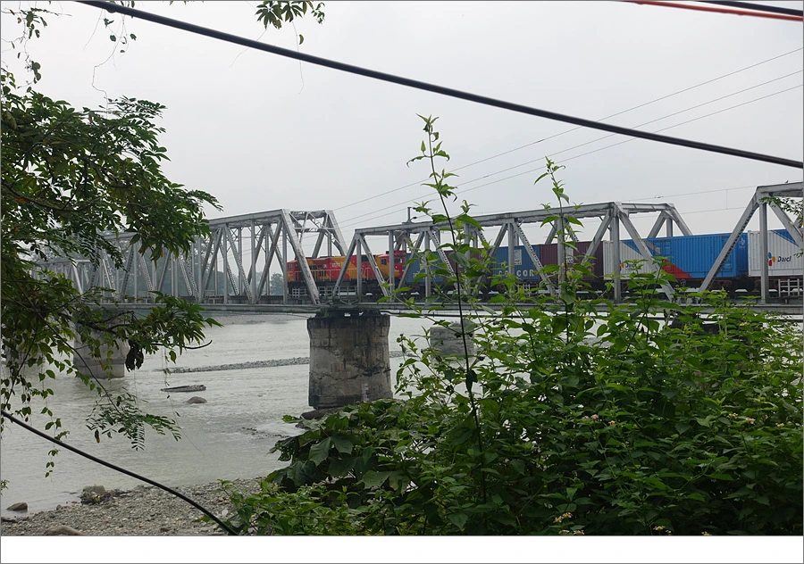 DSC01447.jpg?type=w966