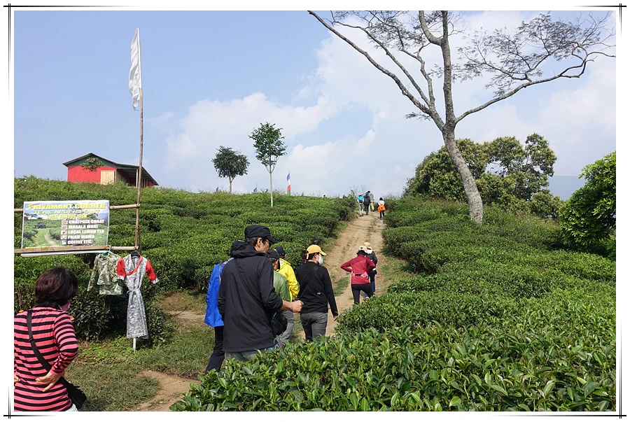 DSC01370.jpg?type=w966