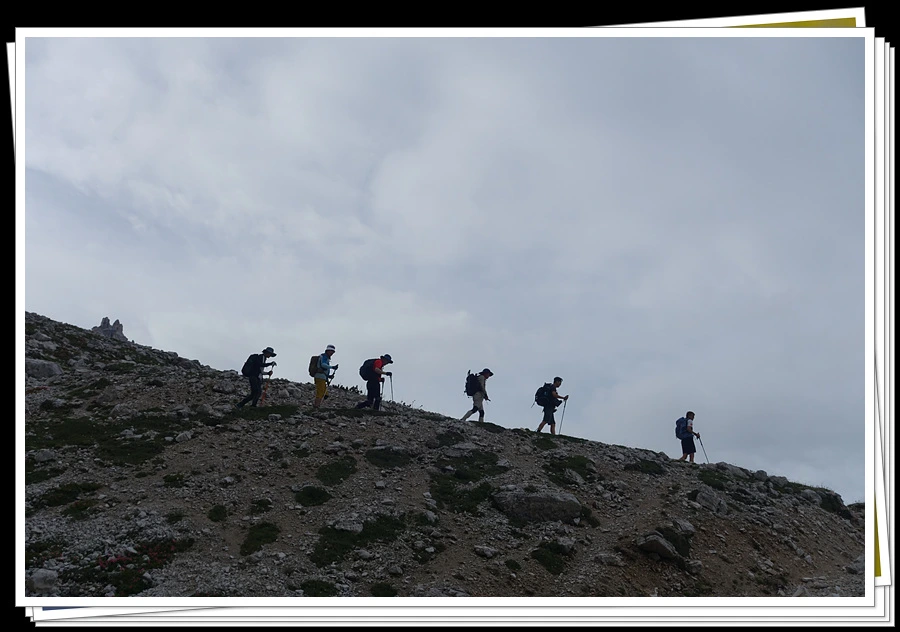 DSC00039.jpg?type=w966&jopt=2