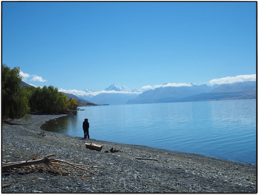 17.jpg?type=w966&jopt=2