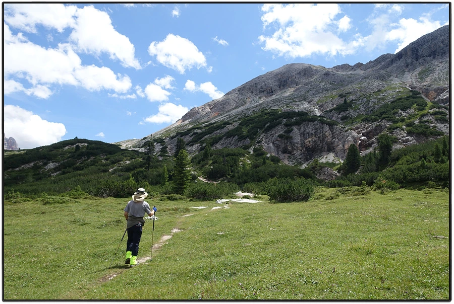 DSC00215.jpg?type=w966&jopt=2