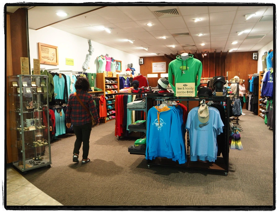 49.jpg?type=w966&jopt=2