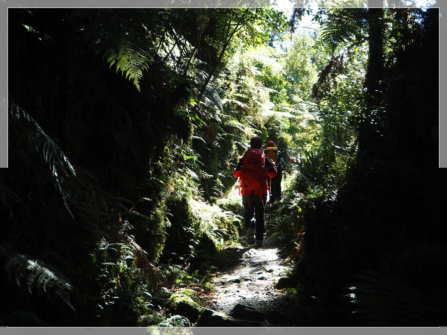 20.jpg?type=w966&jopt=2