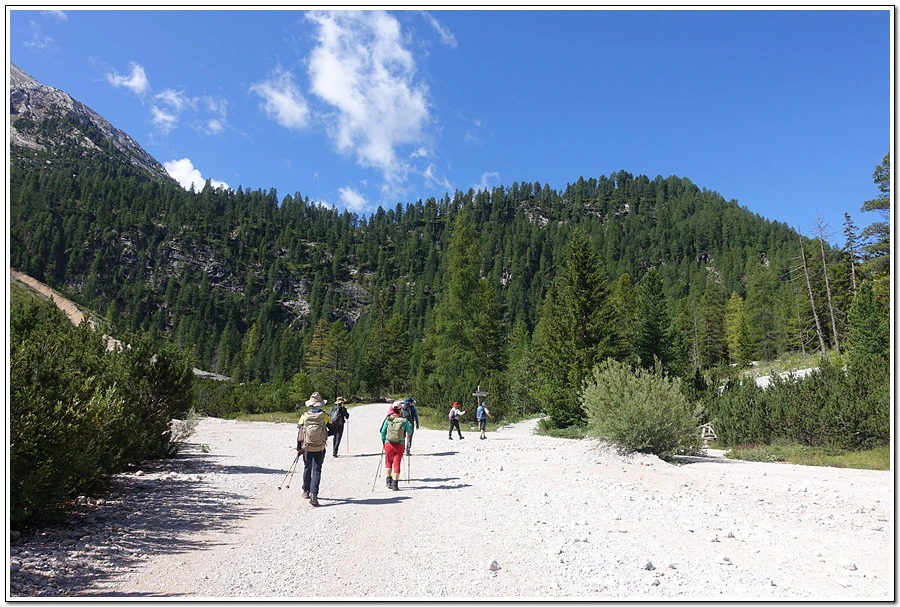 DSC00141.jpg?type=w966&jopt=2