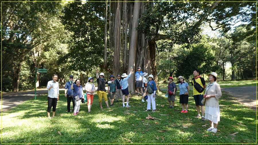 P1011262.jpg?type=w966