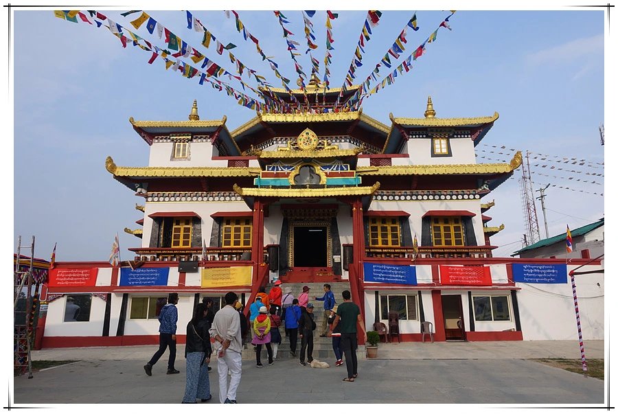 DSC01404.jpg?type=w966