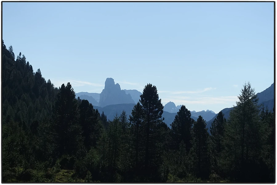 DSC00088.jpg?type=w966&jopt=2