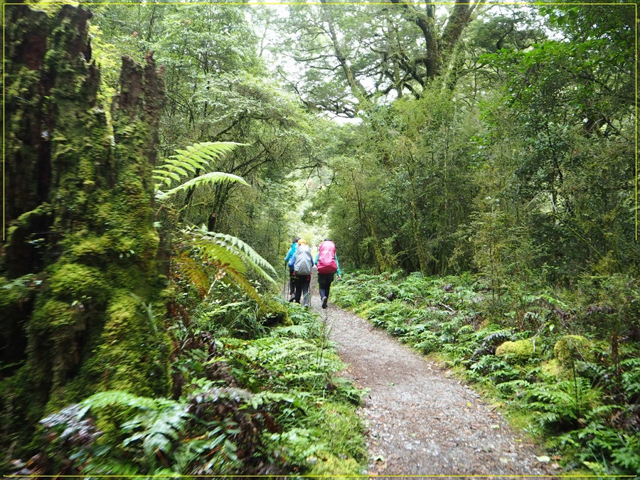 10.jpg?type=w966&jopt=2