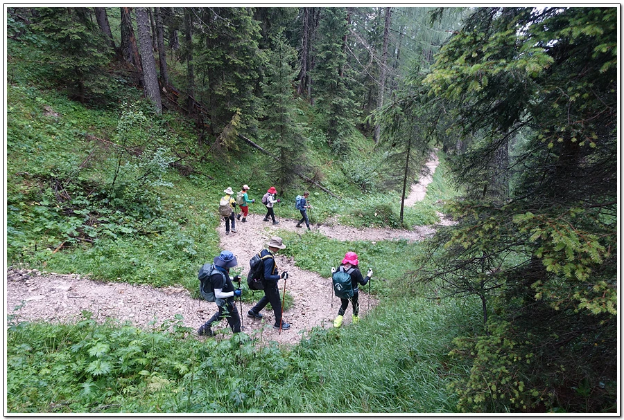 DSC00060.jpg?type=w966&jopt=2