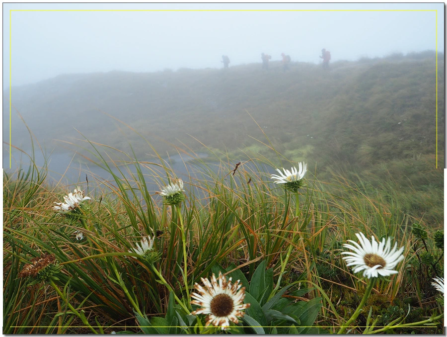 15.jpg?type=w966&jopt=2