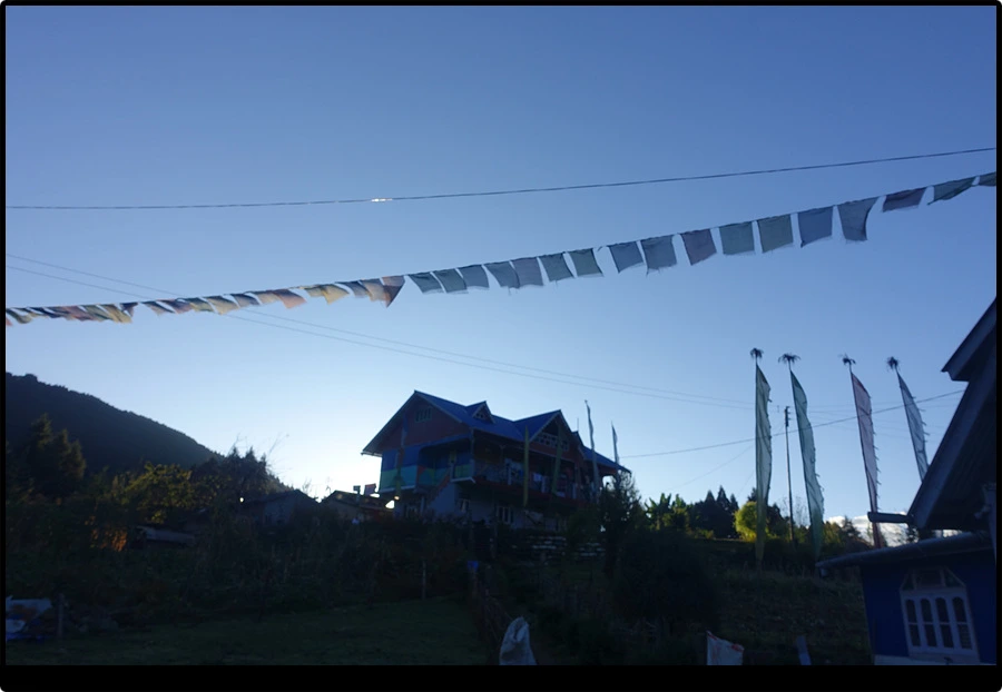 DSC00669.jpg?type=w966