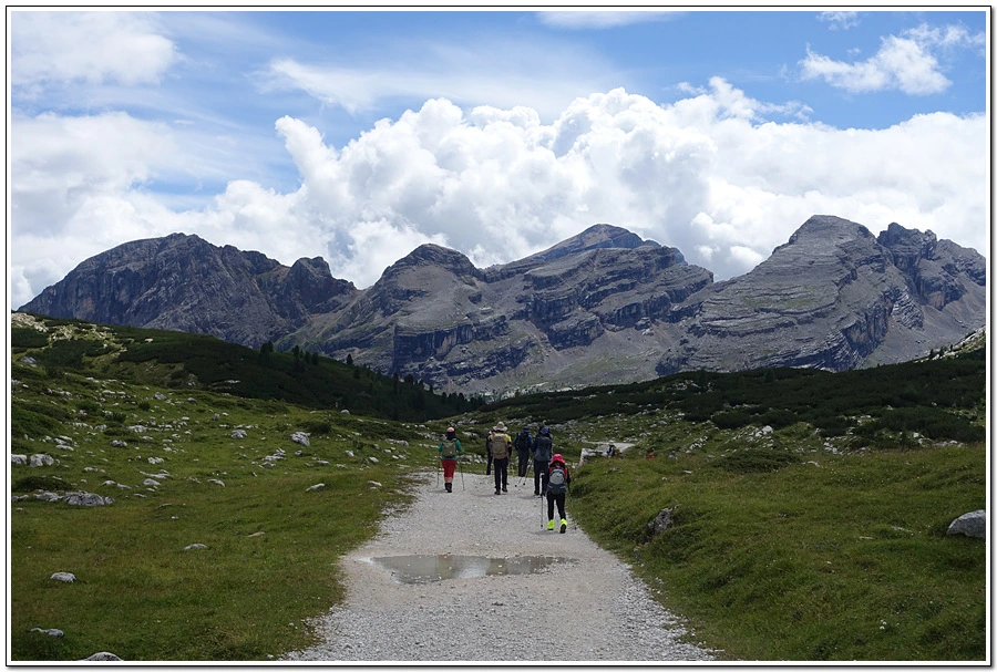 DSC00206.jpg?type=w966&jopt=2