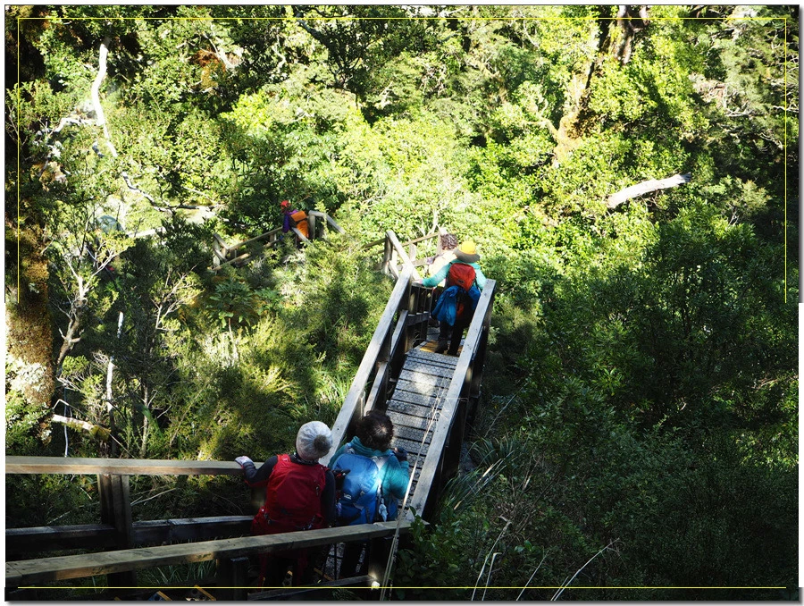 33.jpg?type=w966&jopt=2