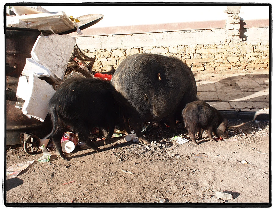 %EC%82%AC%EC%A7%84_150.jpg?type=w966