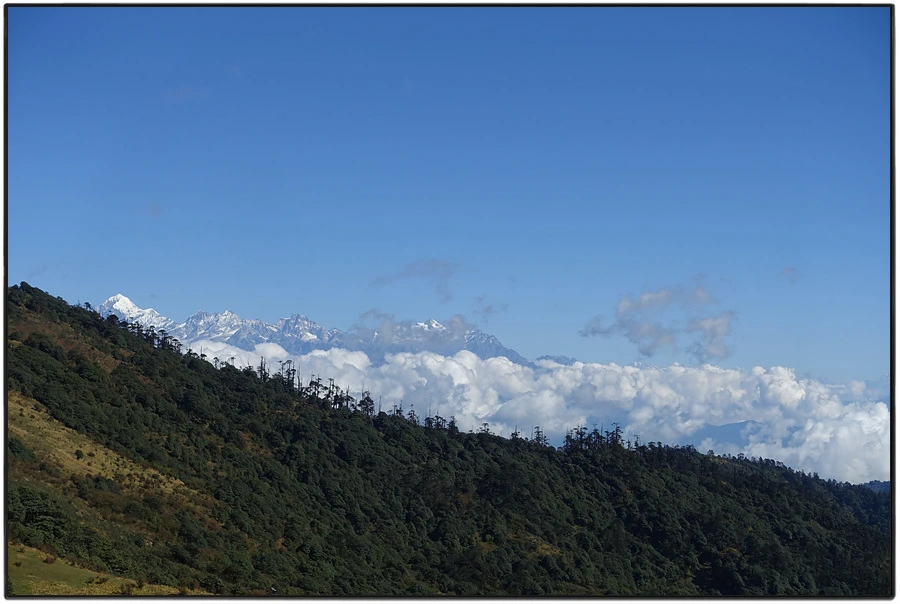 DSC01003.jpg?type=w966