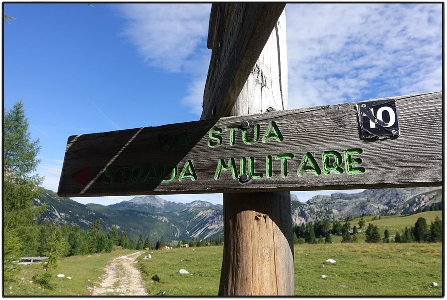 DSC00134.jpg?type=w966&jopt=2