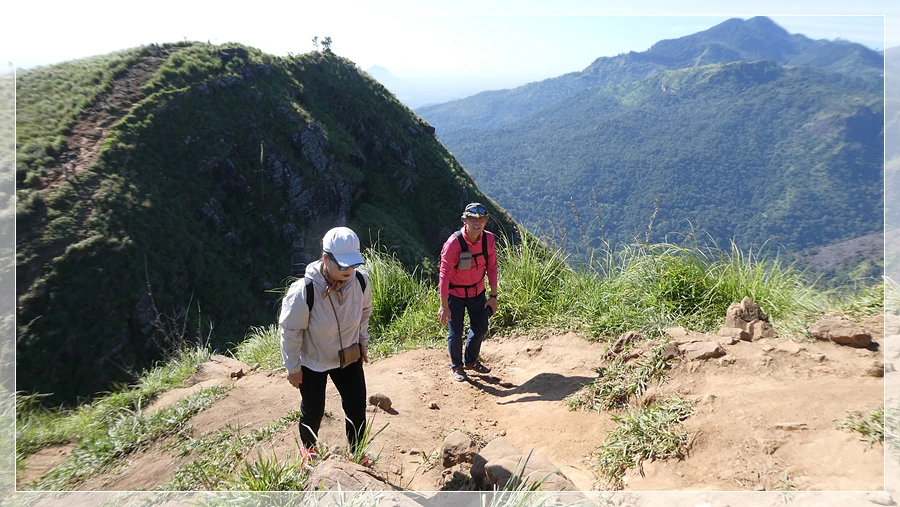 P1011754.jpg?type=w966