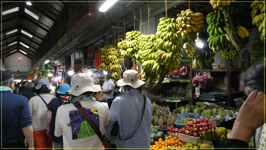 P1011378.jpg?type=w966