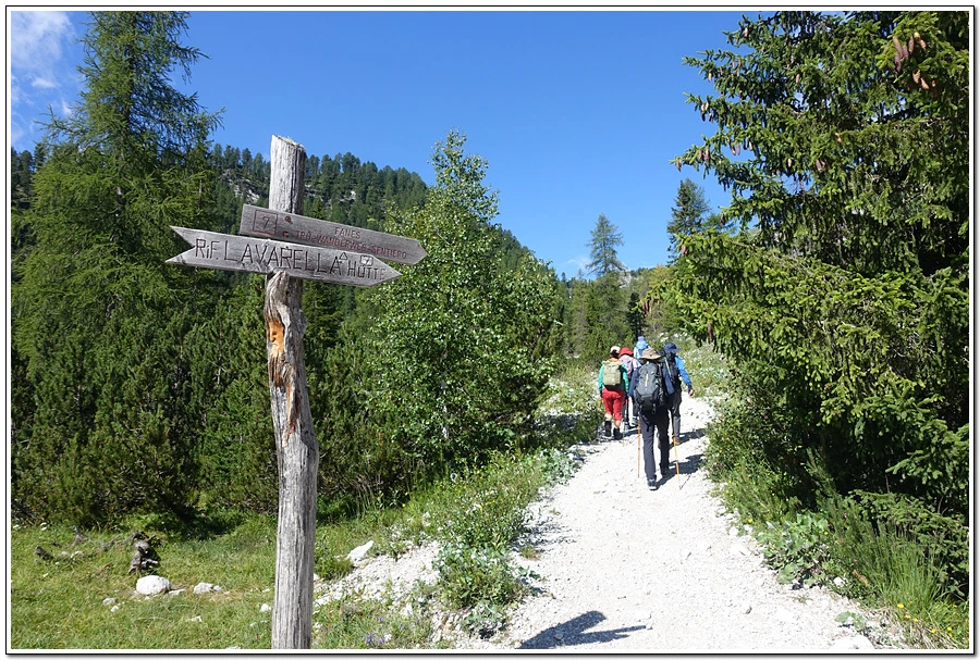 DSC00142.jpg?type=w966&jopt=2