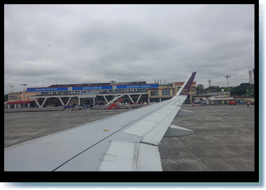 DSC00418.jpg?type=w966