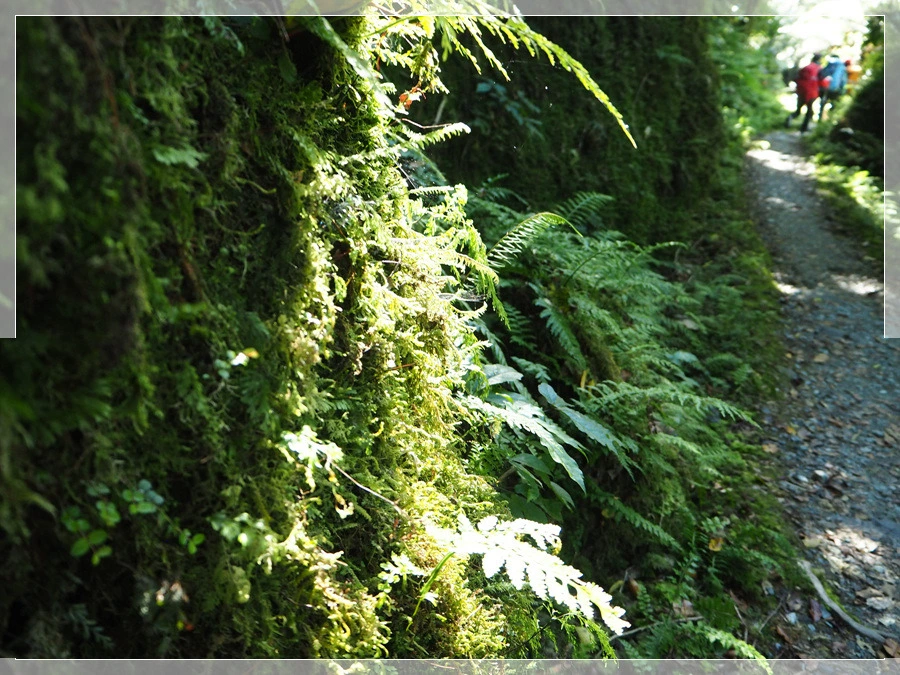 19.jpg?type=w966&jopt=2