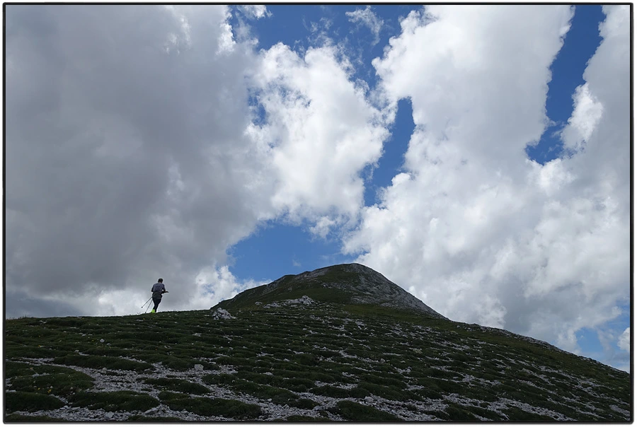 DSC00246.jpg?type=w966&jopt=2