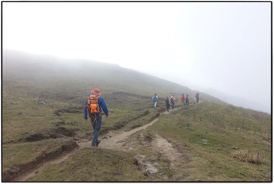 DSC01091.jpg?type=w966