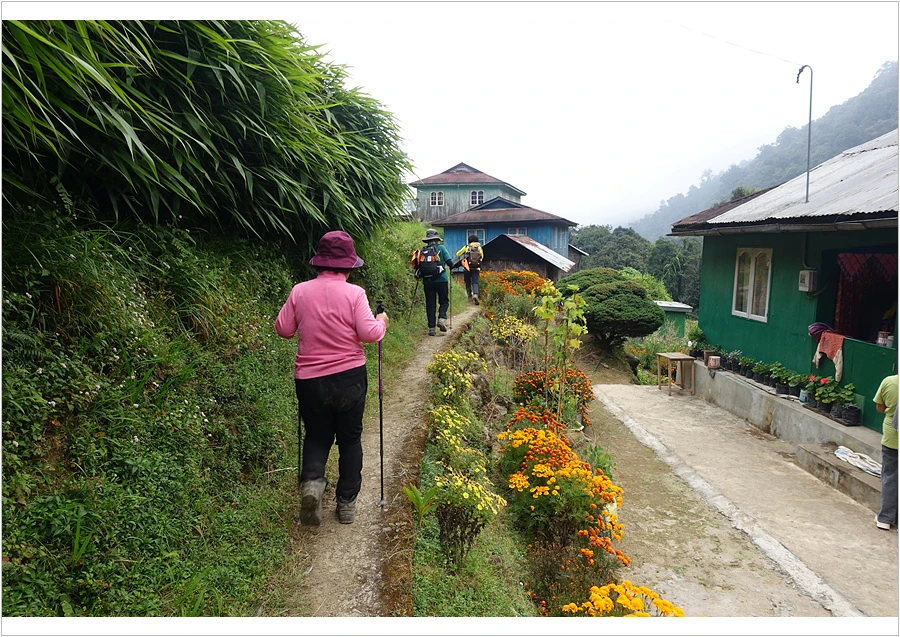 DSC01228.jpg?type=w966