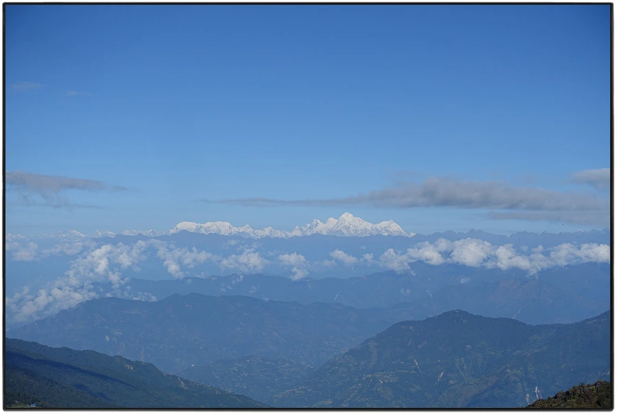 DSC00951.jpg?type=w966