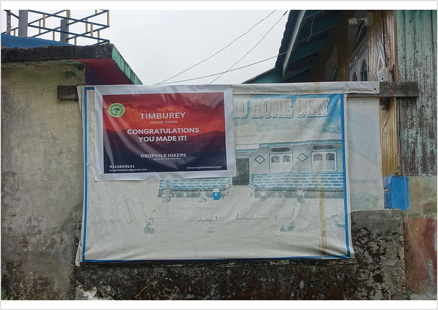 DSC01230.jpg?type=w966