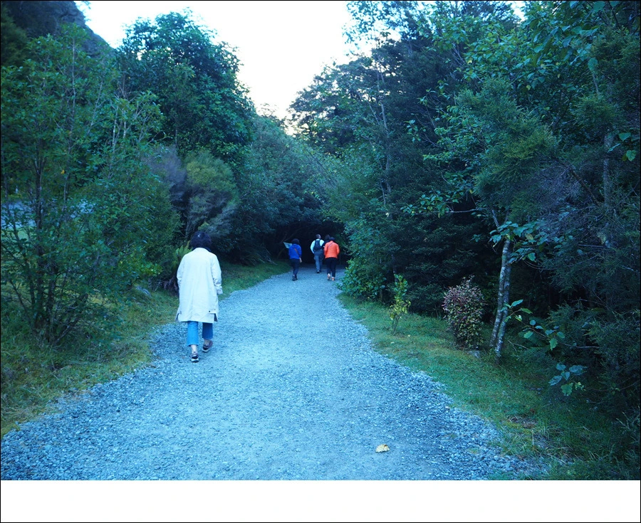 12.jpg?type=w966&jopt=2