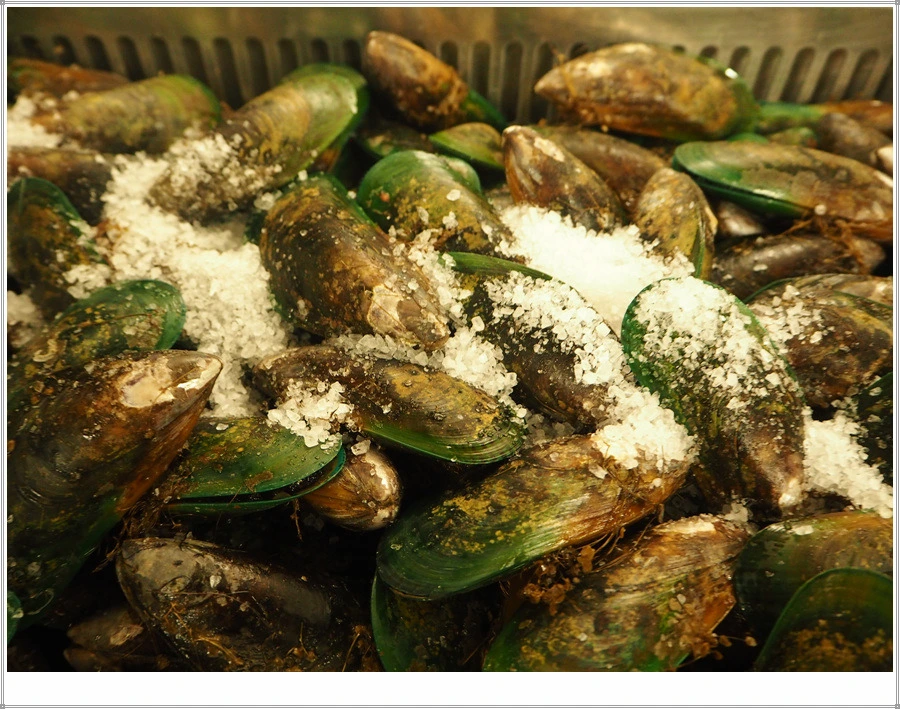 18.jpg?type=w966&jopt=2