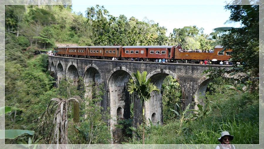 P1021796.jpg?type=w966