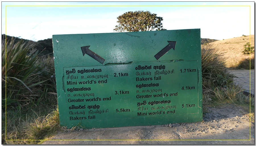 P1011460.jpg?type=w966