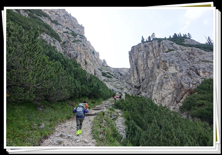 DSC00031.jpg?type=w966&jopt=2