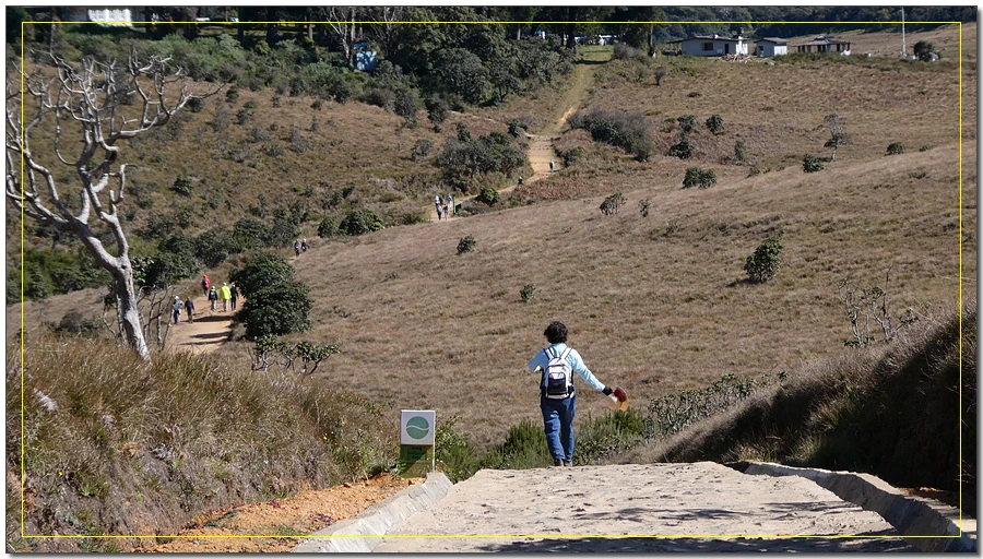 P1011547.jpg?type=w966