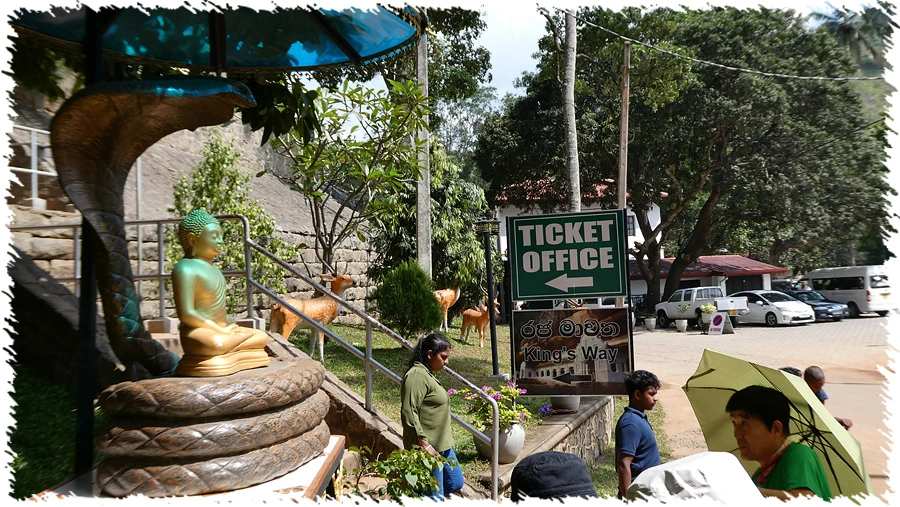 P1010860.jpg?type=w966