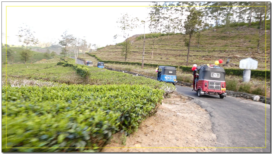 P1011588.jpg?type=w966