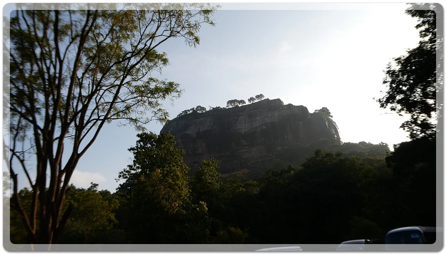 P1011126.jpg?type=w966