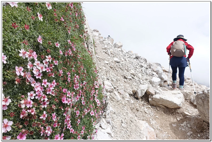 DSC00369.jpg?type=w966&jopt=2