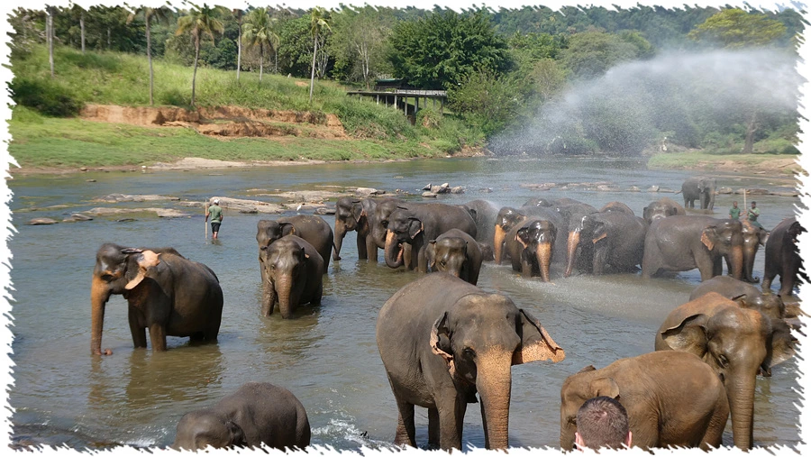 P1010845.jpg?type=w966