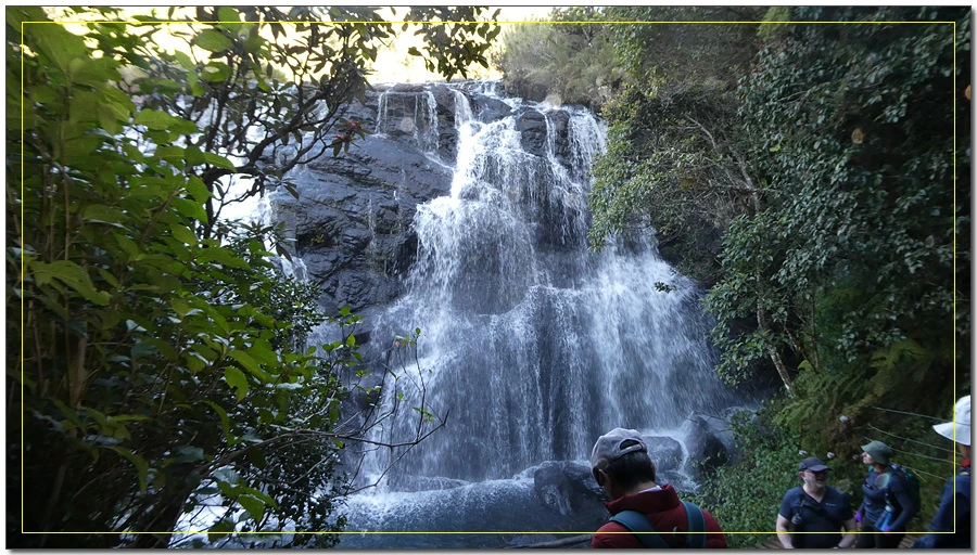 P1011483.jpg?type=w966