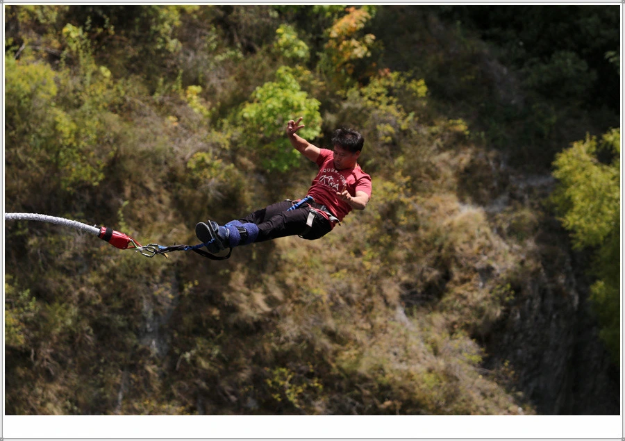 14.jpg?type=w966&jopt=2