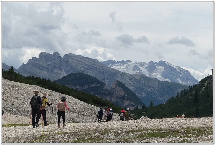 DSC00253.jpg?type=w966&jopt=2