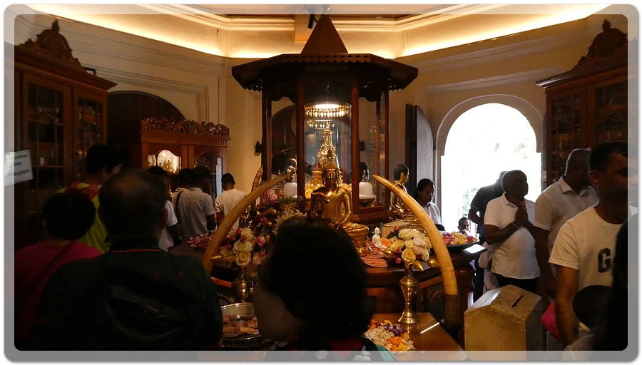 P1011175.jpg?type=w966