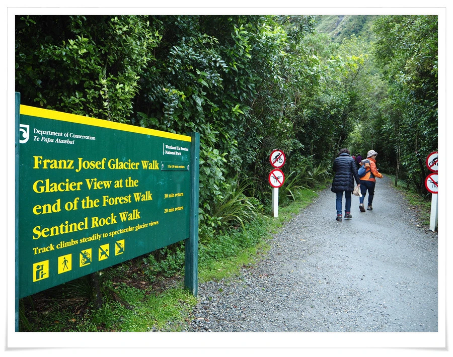 6.jpg?type=w966&jopt=2